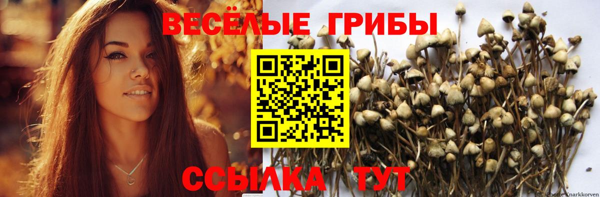 Галлюциногенные грибы MAGIC MUSHROOMS  Вход с VPN  Знаменск 